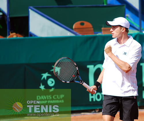Ungur si Crivoi merg mai departe, Hanescu si Copil out